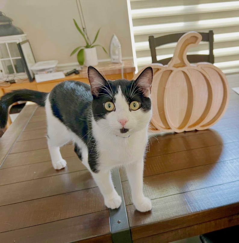 Handcrafted Maple Or Walnut Pumpkin Serving Tray – Fall Table Centerpiece For Thanksgiving